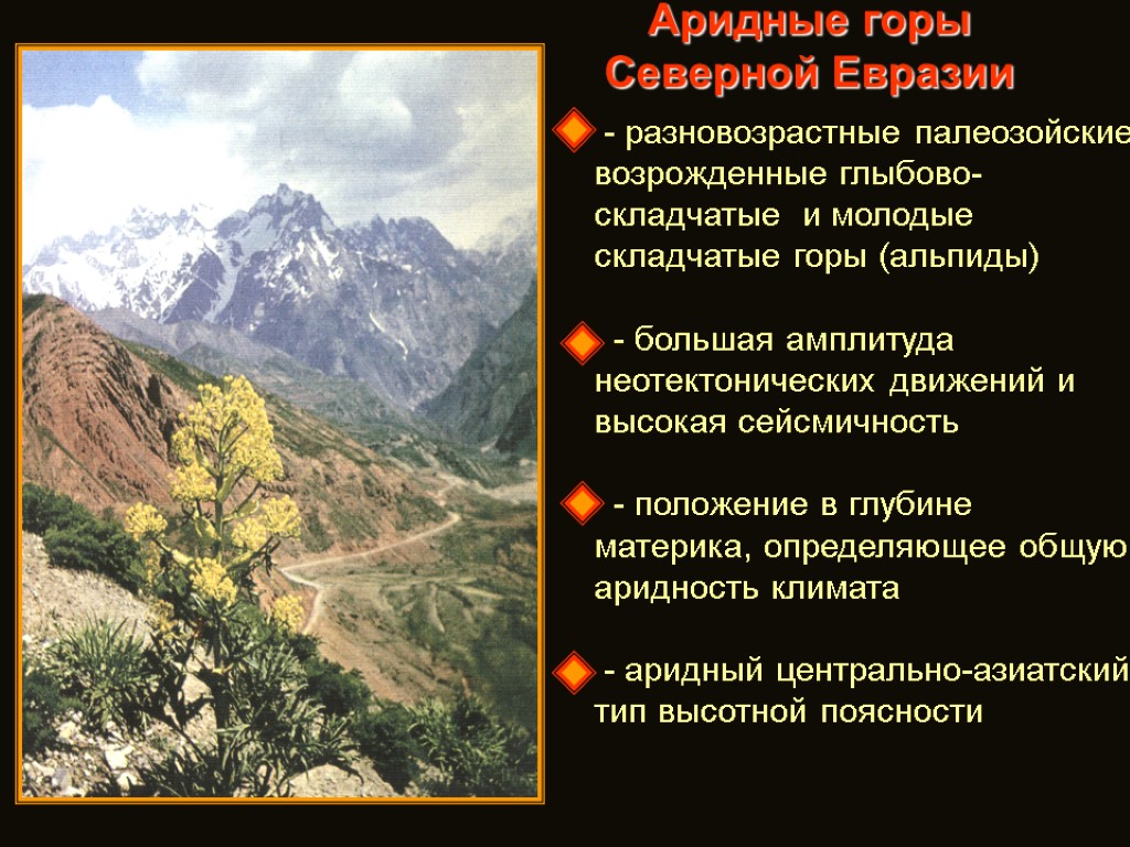 Аридные горы Северной Евразии - разновозрастные палеозойские возрожденные глыбово-складчатые и молодые складчатые горы (альпиды)